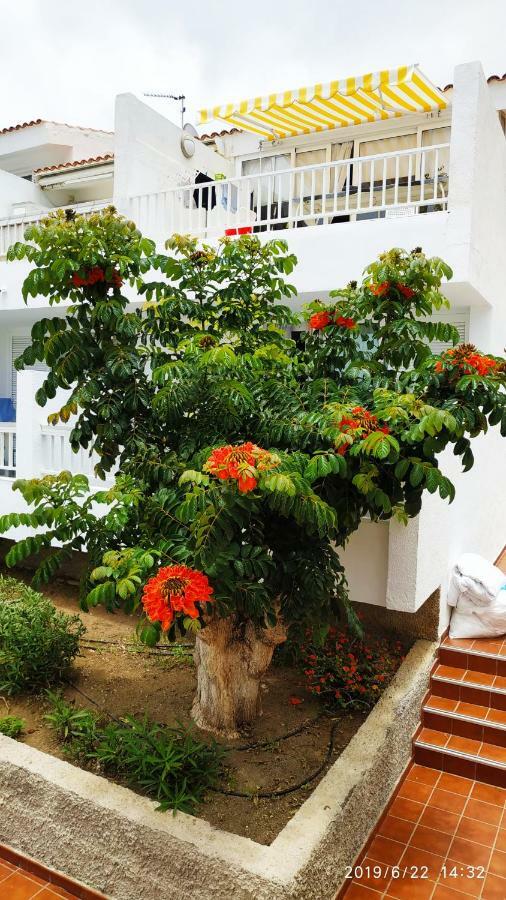 Club El Paradero Playa de las Américas Dış mekan fotoğraf